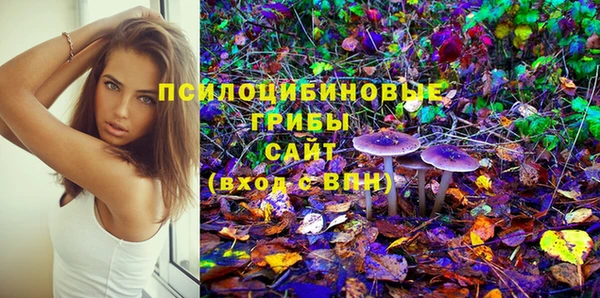 бутират Инта