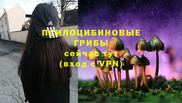бутират Инта